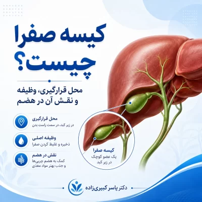 کیسه صفرا چیست و چه نقشی در بدن دارد؟