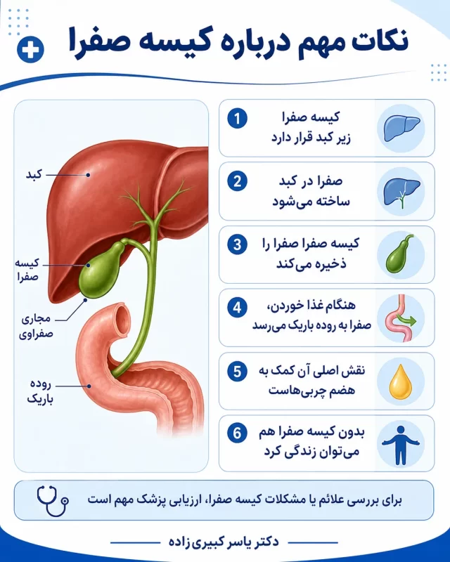 کیسه صفرا چیست؟ 1 کیسه صفرا چیست و چه نقشی در بدن دارد؟